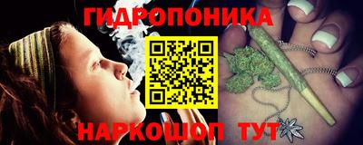 винт Можга